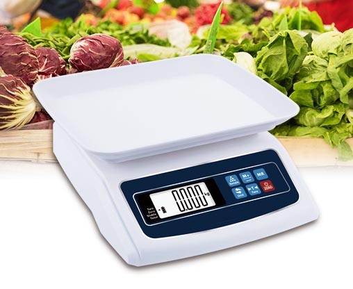 Digital Weighing Scale factory
