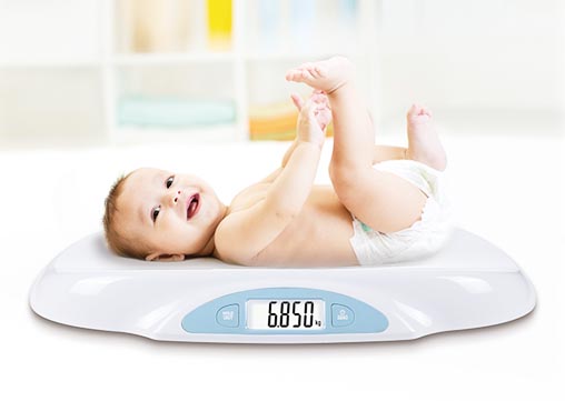 Electronic Baby Scale factory